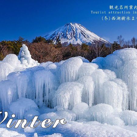 Station Villa Plaisir Mt. Fuji Fujikawaguchiko Dış mekan fotoğraf